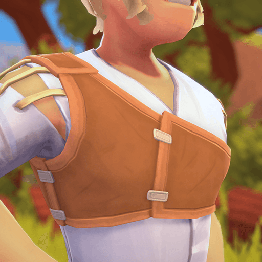 Leather Shoulder Brace Shop The Township Tale Tavern